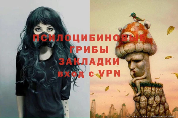 прущие крисы Белокуриха